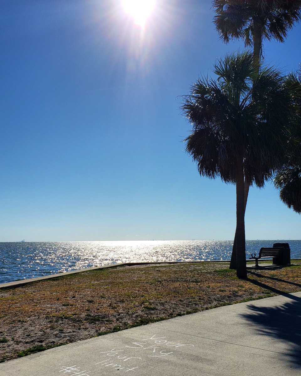 ForecastWithNat's tweet photo. Went for the most incredible 3-mile run this morning. But this view right here...THIS stopped me in my tracks. 🌅🌴 #justbreathe #SocialDistancing #backhomeigo https://t.co/vCwec8dTDy