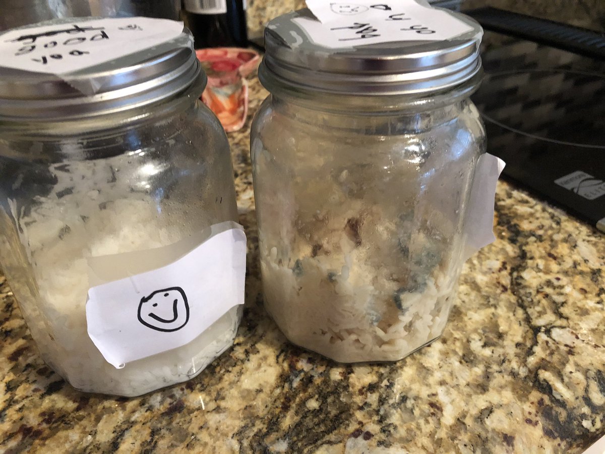 FMooshie's tweet photo. 30 days of 1cup of rice, spoke “good” to “good” rice, “bad” to “bad” rice. #WordsMatter as the results speak for themselves https://t.co/8ptrYI1Yk9