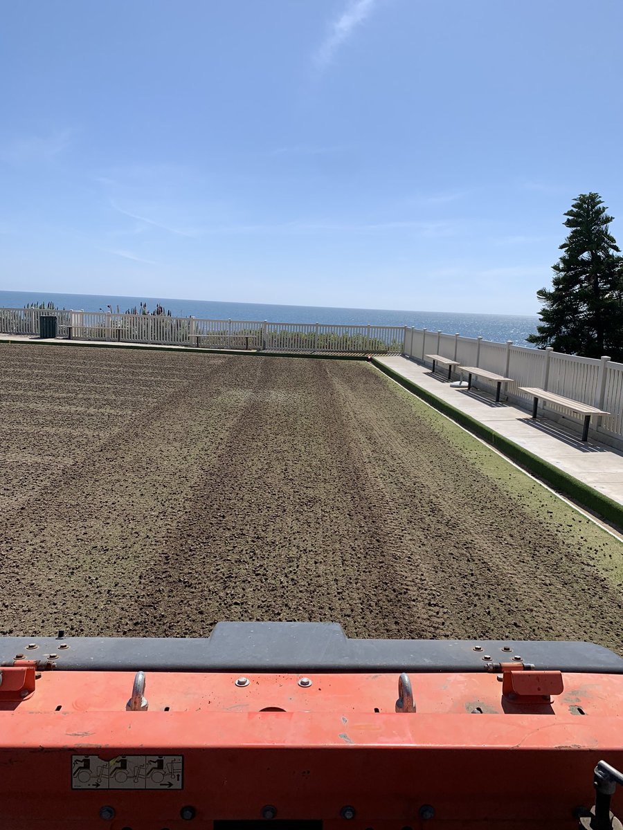 muddturf tweet media