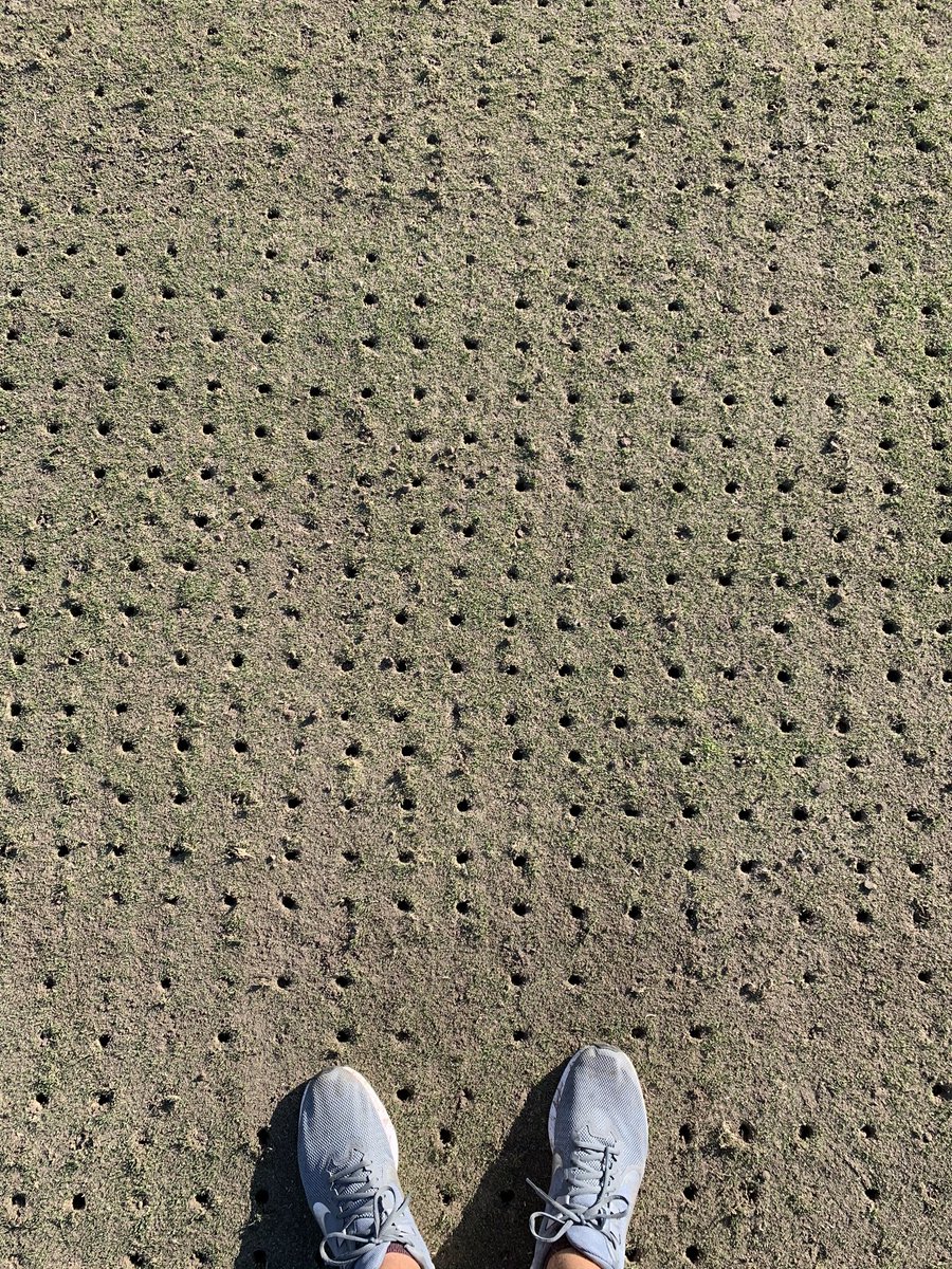 muddturf tweet media