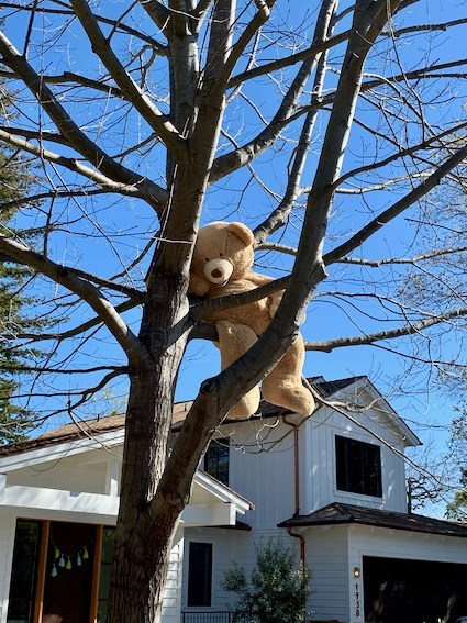 Spotted: Big Teddy Bear in a tree on Oak Dell Drive inmenlo.com/2020/04/02/spo…