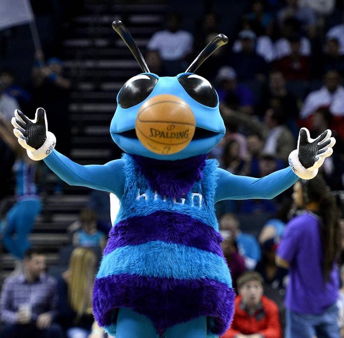 . @HugoTheHornet  @hornets