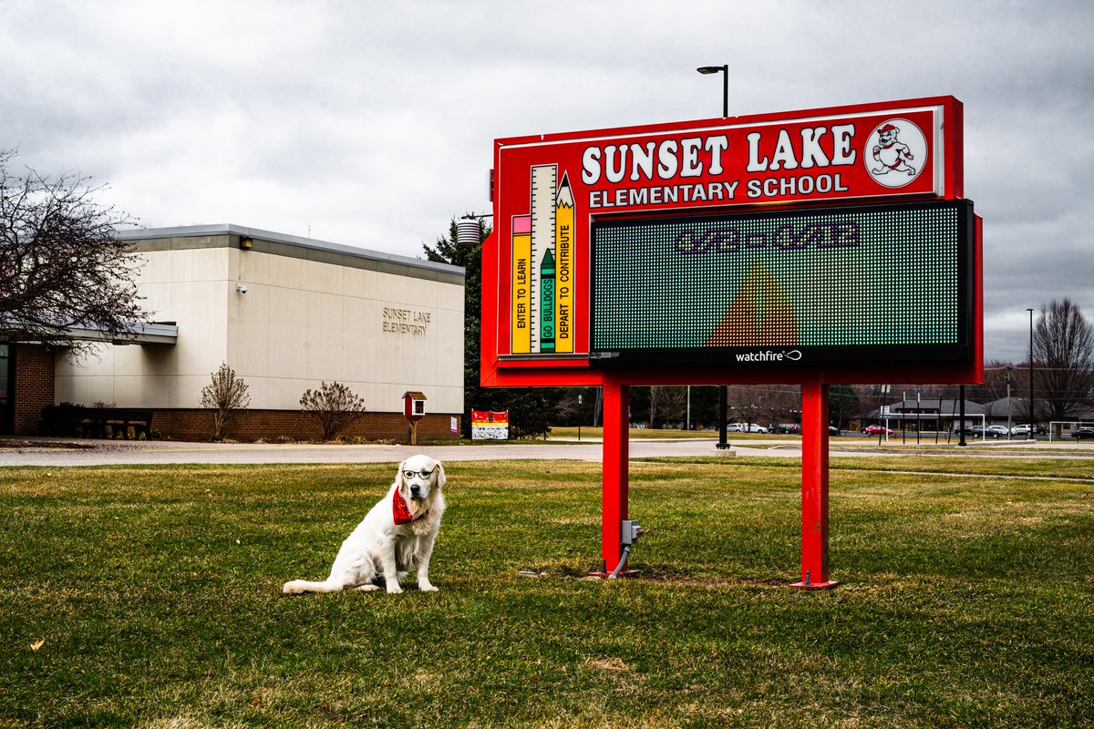 Scoot is looking studious today, but he wonders where all the kids are? Show us YOUR #ViewsFromVicksburg &amp; tell us what you have been up to! You can follow Scoot over at the Prairie Ronde Artist Residency, as he has taken over their Instagram: instagram.com/prairierondear…
