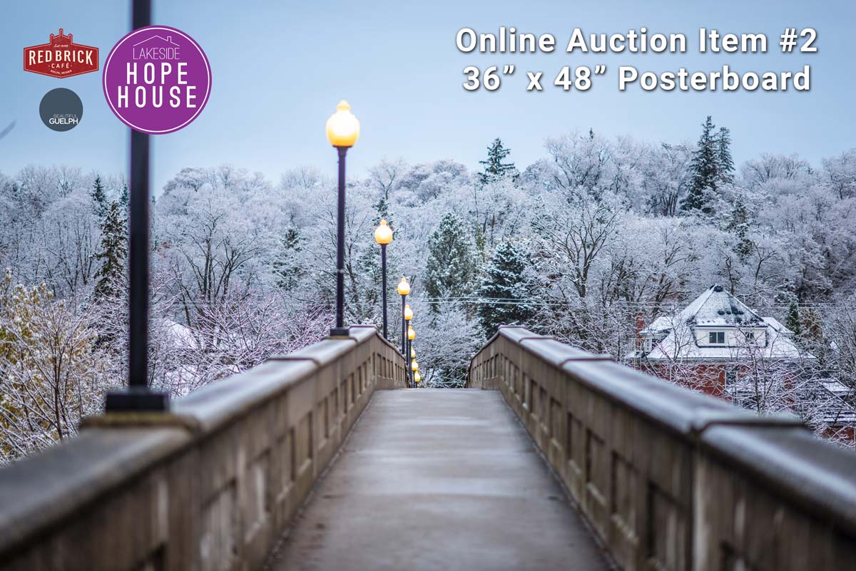 bootifulguelph's tweet photo. Auction #2 - A BIG Print of this wintery downtown location. Head over to our FB page to bid! Let's show some love to Hope House who are supporting many of the most vulnerable in our community: https://t.co/x3ha8mZj34 https://t.co/8BzFw7oL7F