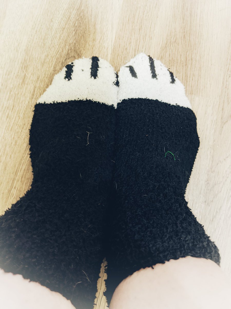 HaughtonScience's tweet image. Haven't kept up with my WFH spirit week here! Here are some photos. Tuesday was Teen Tuesday, Wednesday was Go Wild and today is Therapy Thursday! Displaying all the comfort things to help us get through these times.