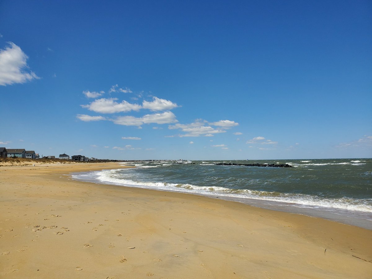 _AGodfrey's tweet photo. 5k in the books, got it done between grade level collabs. Thanks for the motivation @ToriVBTeach!! Love how our staff is posting ways we are decompressing and staying active!! #letsgooooo #squadup #fitleaders #beachruns #baysideriseup #vbfit https://t.co/fvvrWGjkpE