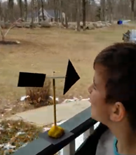 Mrs. Murphy tweet media