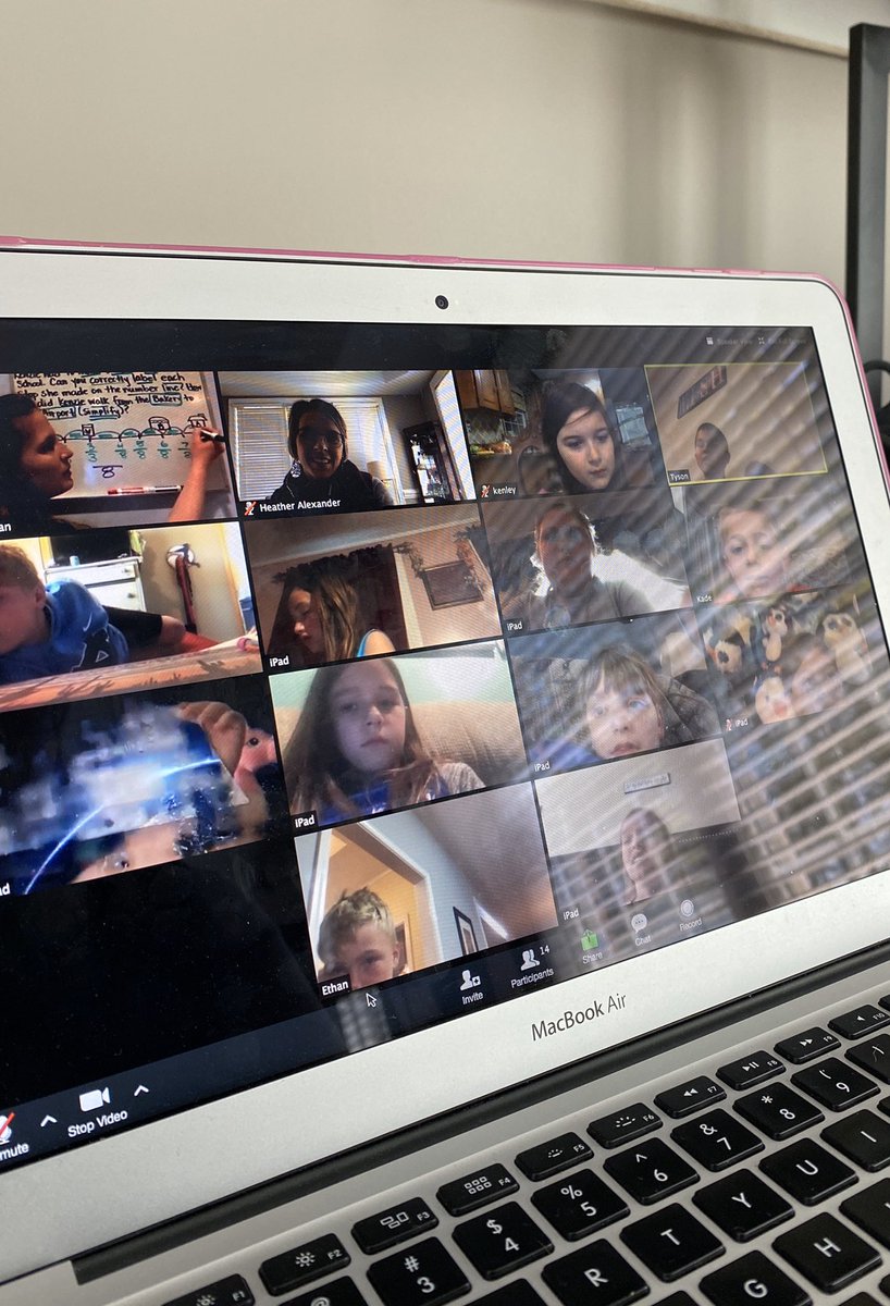 Heather Alexander tweet media