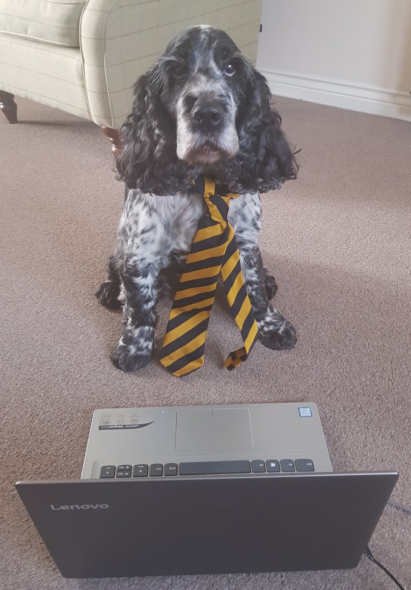 Deborah Callister tweet media