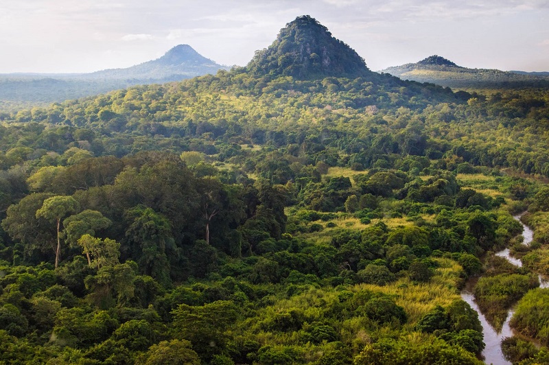 hallaboutafrica's tweet photo. Keep your eye on the prize. This is the scene at Mozambique's Gorongosa National Park - a spectacle of scenery and animals. We WILL survive this pandemic, and in the meantime think of Africa's great attractions - places we've not seen but are waiting patiently for us. https://t.co/aHIsnXF35Q