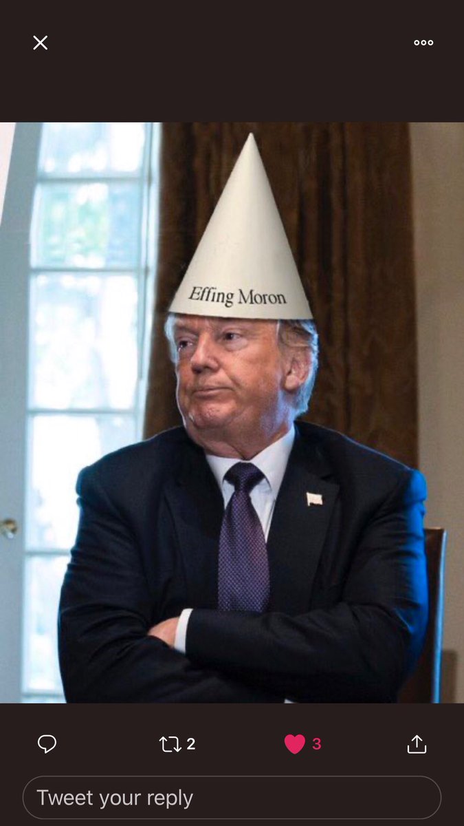 WingertTom's tweet photo. They obviously do not trust TRUMP to lead! #TrumpVirusCoverup #IBlameTrump #DunceInChief #IdiotInChief #MoronInChief https://t.co/ugI1grKRmB