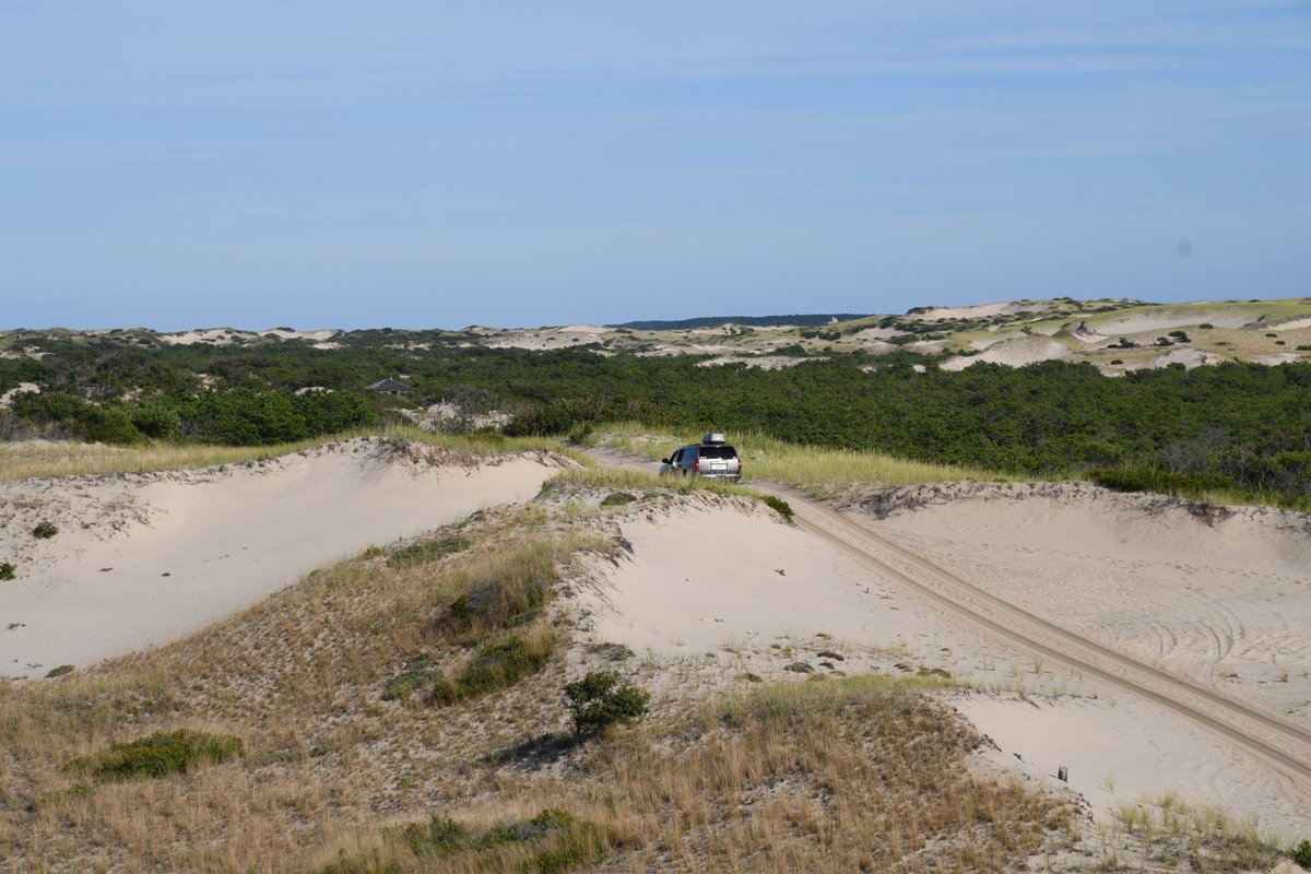 VisitCapeCod's tweet photo. Explore the majestic dunes of the Cape Cod National Seashore on a virtual @ArtsDuneTours! Find out more about this and other awesome #VirtualCapeCod experiences here: https://t.co/udSA4G5egq https://t.co/H3DycUGdbh