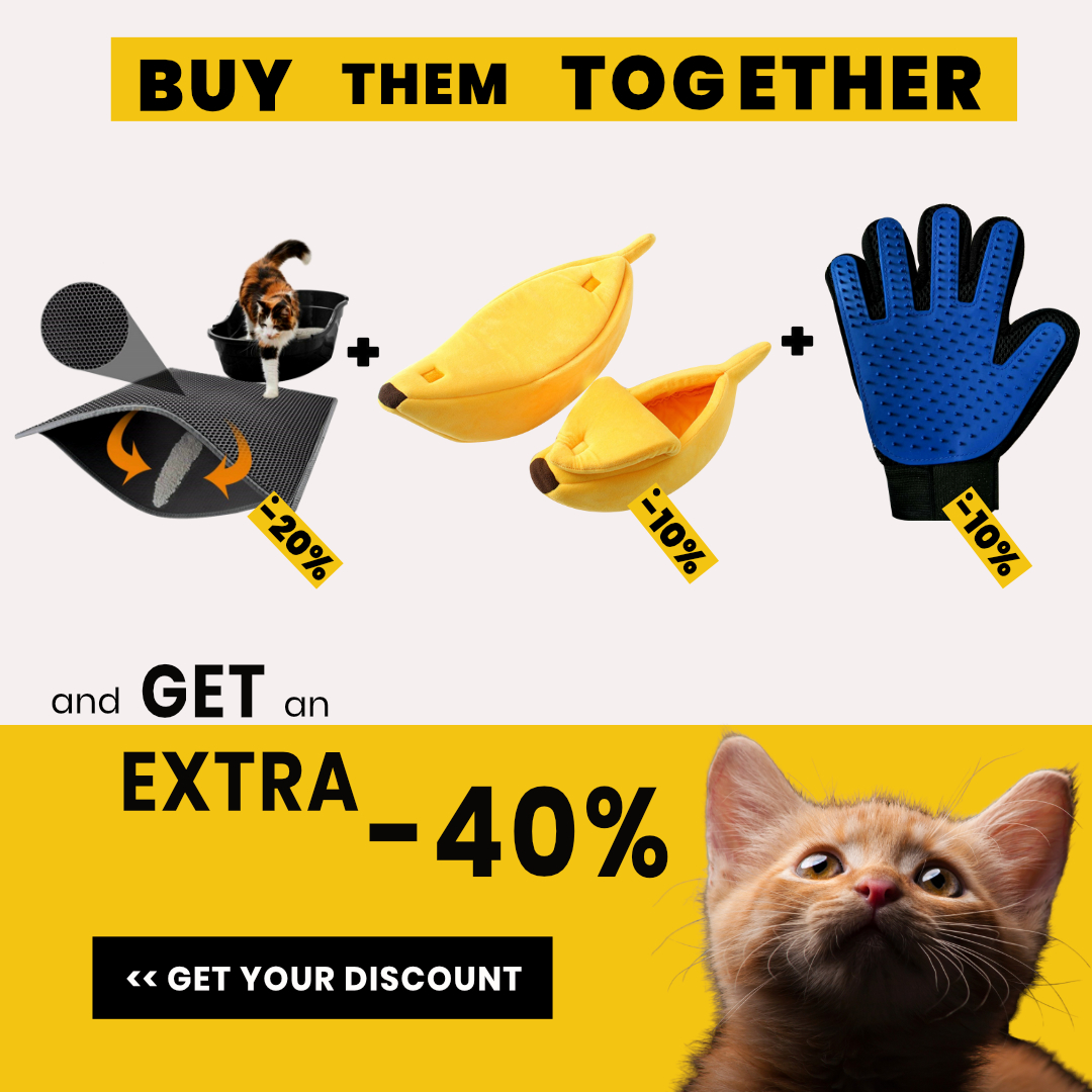 catyourdayshop's tweet photo. Visit my Shop! It is Purrfect.
•
☝️☝️ check the link in my BIO ☝️☝️

📷Purr Purr us: catyourdayshop
📷Follow us: catyourdayshop
🐦twitter: @catyourdayshop -
🌎https://t.co/FzC93gS5nf
•
#get https://t.co/WZS1W0lzJu
