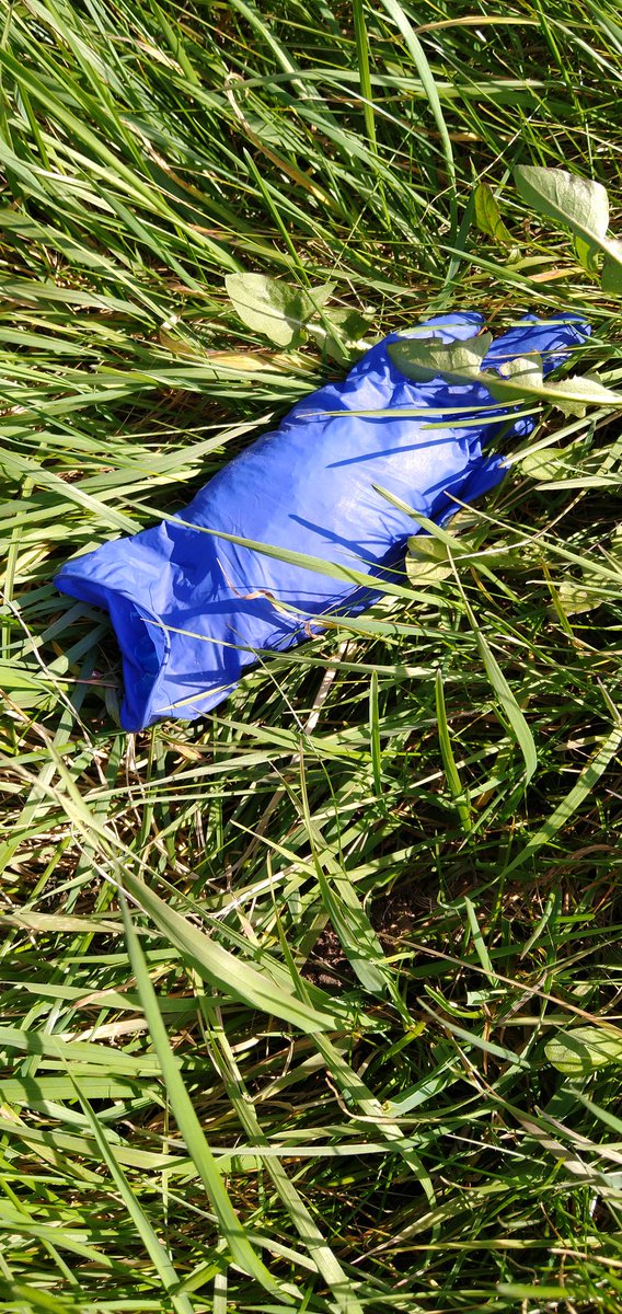 As someone who does fairly regular litter picks, I've noticed a new item added to the piles of cans and plastic bottles. Rubber gloves are already everywhere. 6 pairs were all in 100 metres of country road. Wtf is wrong with people!
