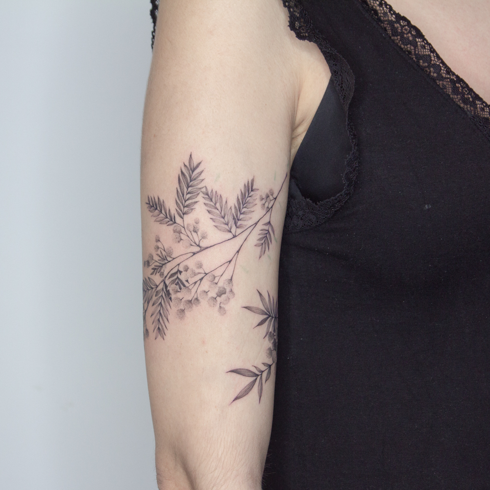 Little branch of mimosa by  Thistle and fern tattoo  Facebook