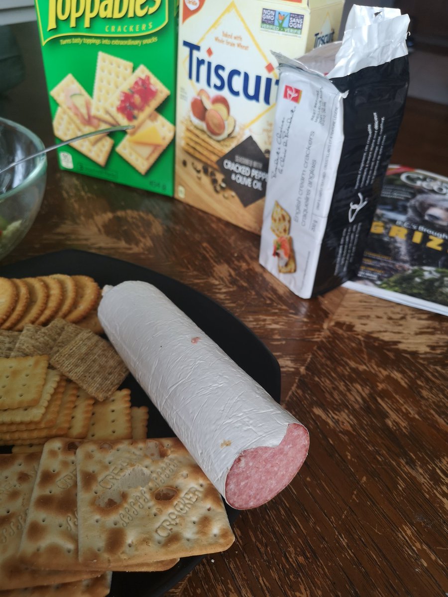 Pairing these crackers today with a Greek salad, and a tube of Hungarian salami that was leftover from some Christmas basket.I will try one cracker plain, and one with a slice of salami. In between each style of cracker I will cleanse the palate with water and salad.