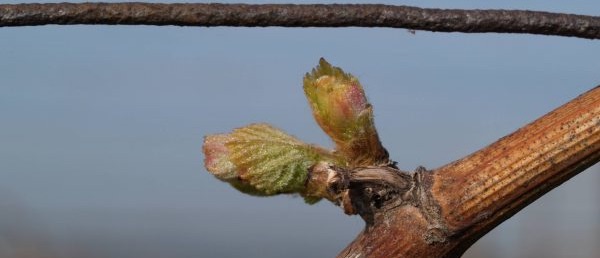 Spring none the less... - mailchi.mp/73d2625dcf42/s…