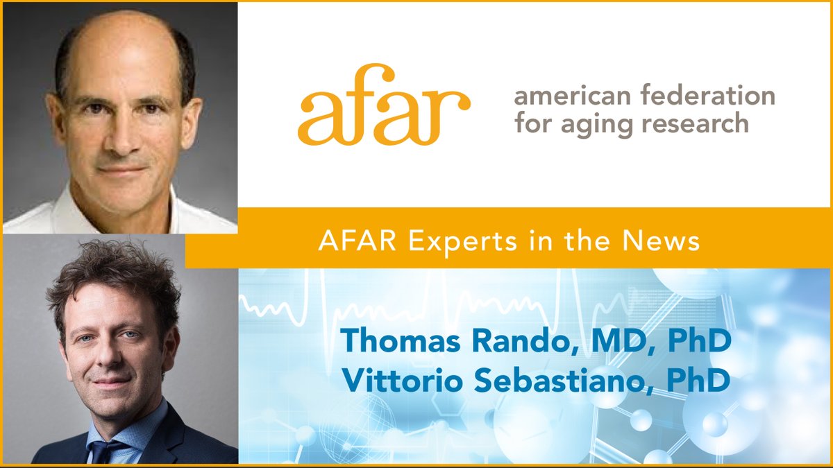 AFAR (@afarorg) on Twitter photo AFAR-funded #research by experts Vittorio Sebastiano & Thomas Rando rejuvenates #aging #cells by inducing #stemcells. Read the research here: go.nature.com/2WY1Gix Read an article in <a href="/nytimes/">The New York Times</a> about the research here: nyti.ms/2R0xbVI AFAR-funded #research by experts Vittorio Sebastiano & Thomas Rando rejuvenates #aging #cells by inducing #stemcells. Read the research here: go.nature.com/2WY1Gix Read an article in <a href="/nytimes/">The New York Times</a> about the research here: nyti.ms/2R0xbVI