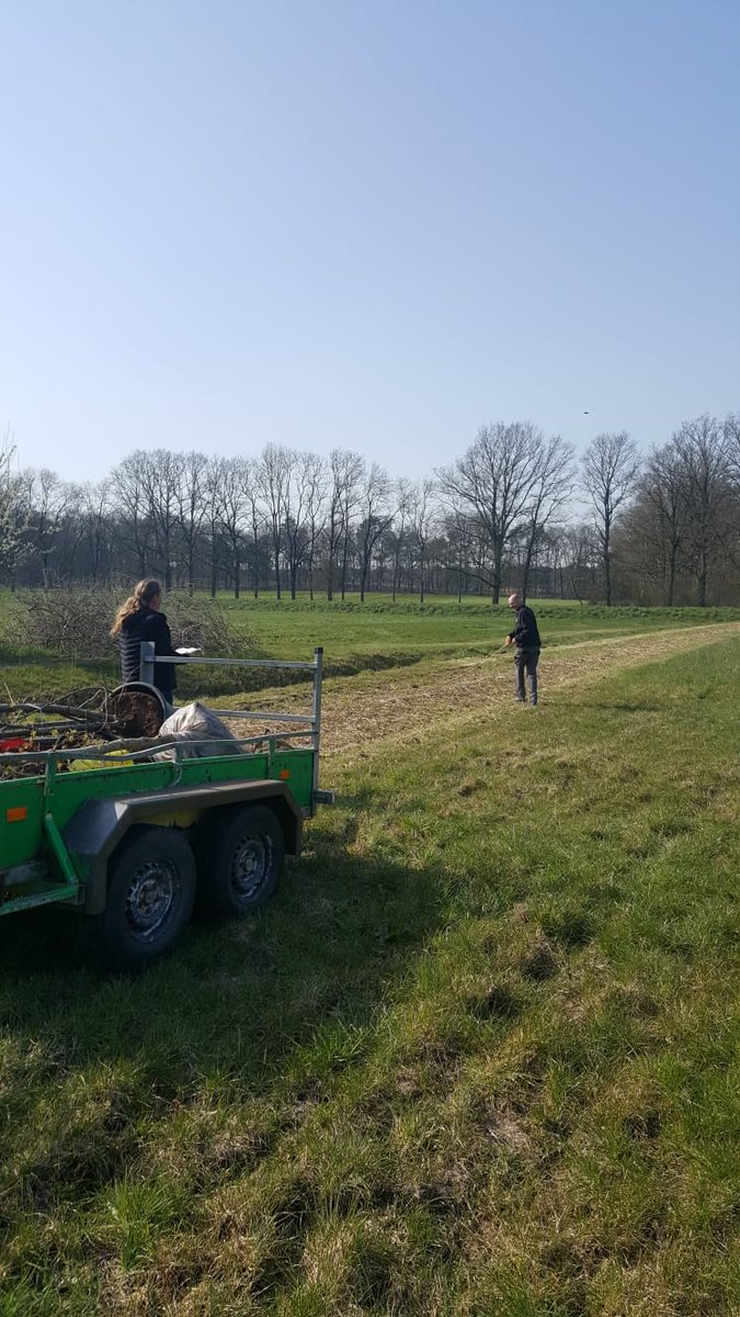 TreeportZundert's tweet image. .... en ondertussen werkt @Groeibalans Teelt &amp;amp; Onderzoek aan de realisatie van de #Voedselhaag, die ook dienst gaat doen als een soort #proeftuin in het klein. Een interessant project om te volgen en extra kennis te vergaren!