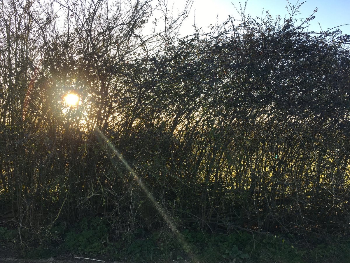 adriantroughton's tweet photo. Hedge fun #notahedgefund https://t.co/zymUmWV8l9