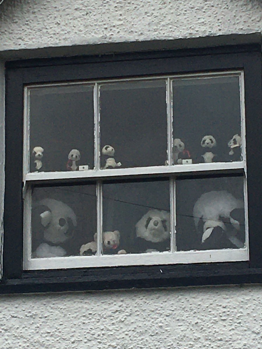 Isobel Kenyon tweet media