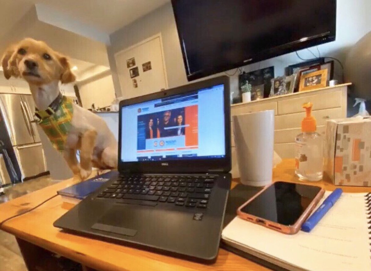 CoorsLightLider's tweet photo. #LeadingFromHome: Bolt has brought me joy, companionship and laughter during these uncertain times. Whether it’s going on walks or sitting next to me while I work, Bolt gives me peace of mind and strength to get through the days. – @RosaMariaHCSD, 2019 #CoorsLightLideres Finalist https://t.co/ue1WT0pnts