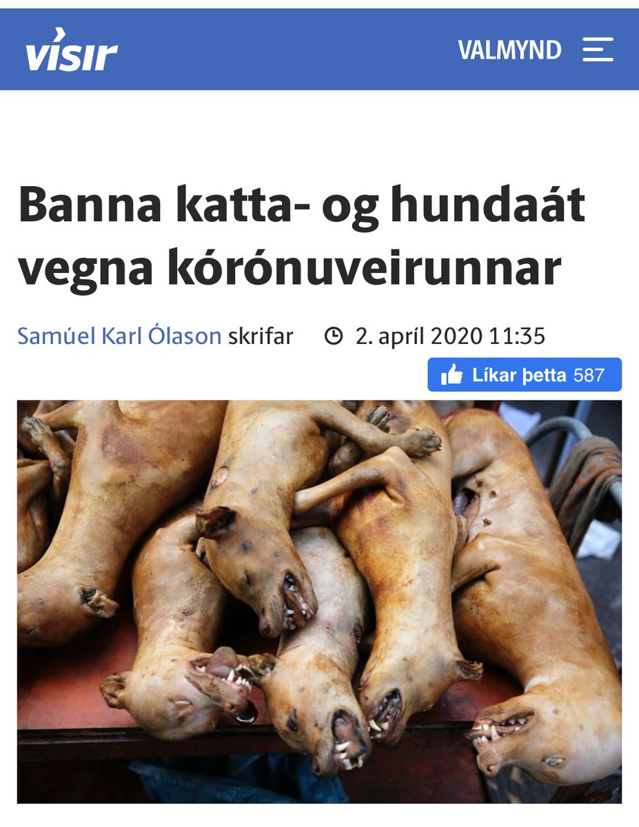 Og ég sem er búinn að vera að geyma einn Labrador í kistunni fyrir páskana, þarf ég virkilega að segja börnunum að það verði lamb i matinn??