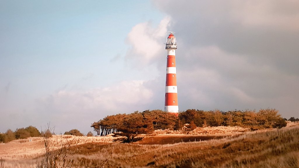 marcelbar8's tweet image. "Komen kan!"

Roept de VVV #Ameland

Ik reken het hartstikke dom en fout!
Hoe vaak moet #Rutte nu nog zeggen dat #blijfthuis het devies is!? 😡😡😡

#nosjournaal