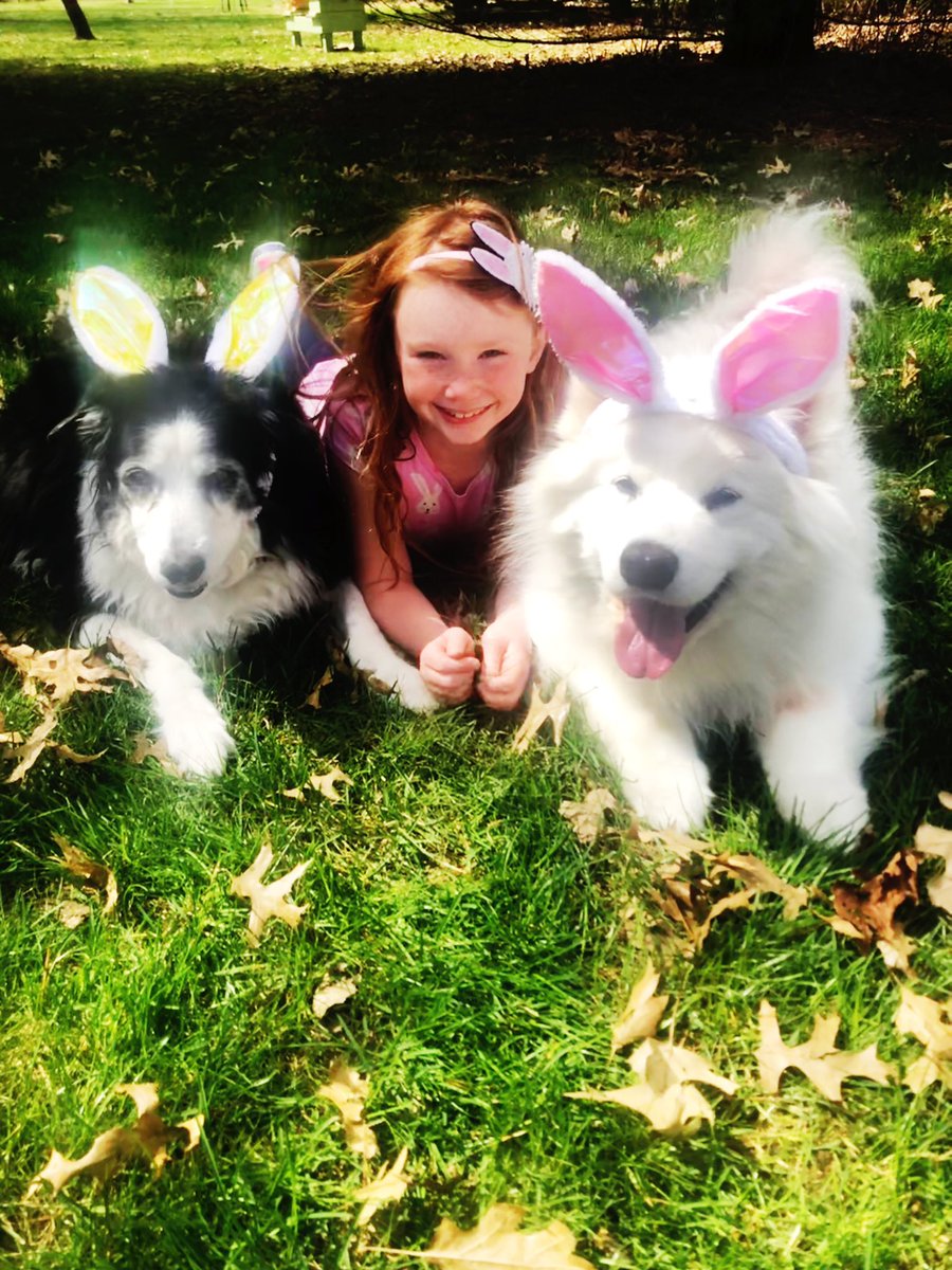 klingel_nikki's tweet photo. Virtual spirit week, today is Pet Party! 🐾💕
Ellie’s two dogs....I mean bunnies. 🐰 🐶 ❤️
We miss you Brookside family!
@mayhillsbobcats #BrooksideSpirit #SunAlwaysShines @BrooksideBcats1 @klingel7 https://t.co/tlePUHTY5T