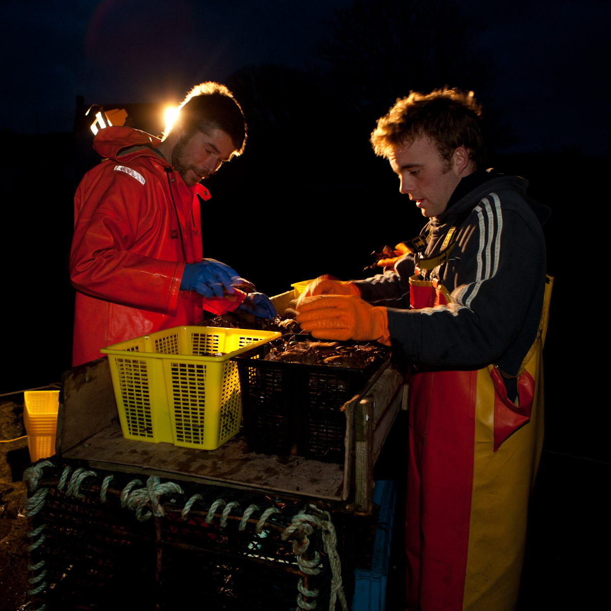 Colin Morrison & Ronan Martin sorting brown crabs in pre-dawn light before the refrigerated lorry comes to collect them, Croig Pier, Isle of Mull, Scotland (2005) #WeAreHighlandsAndIslands  #TheHillsAreAlwaysHere