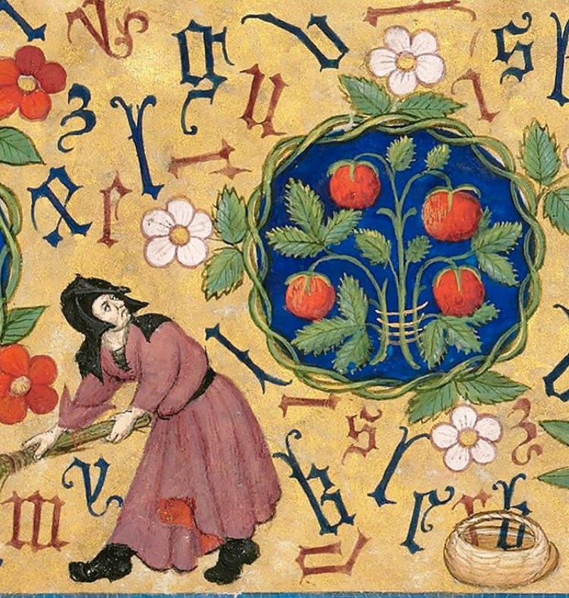 Garden of Words, Illuminations from a Book of Hours, Use of Rome, ms. Latin 1156B, f. 135r, 15th century