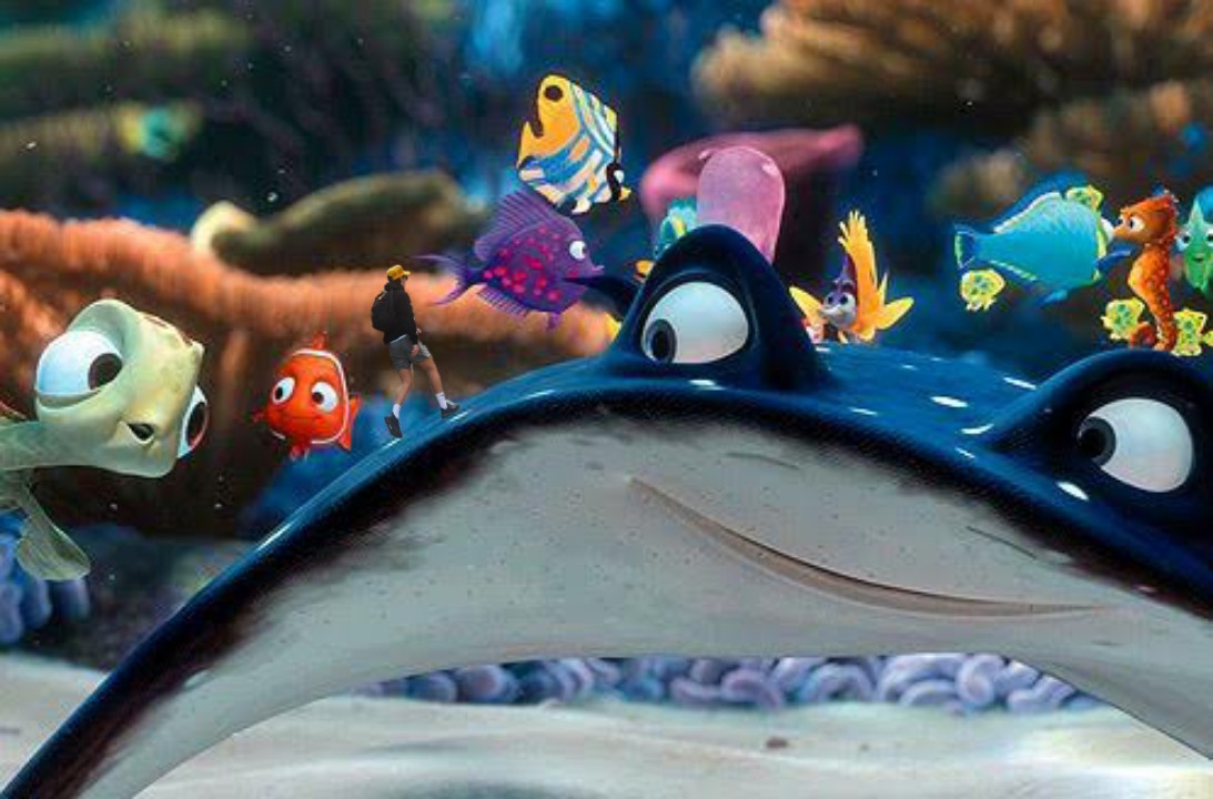 finding nemo (2003).