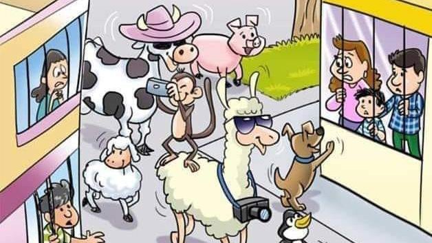 HumanSirk's tweet image. et pendant ce temps là !