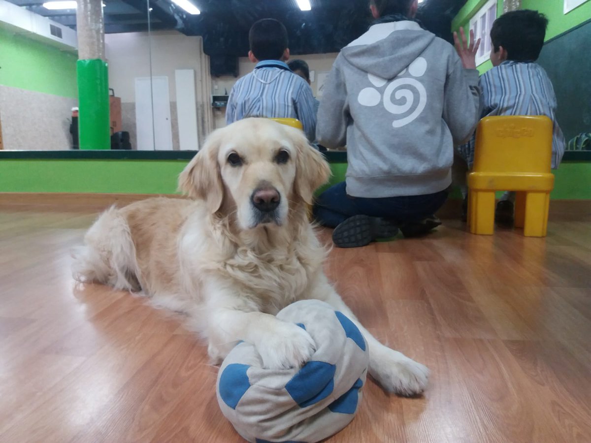 En estos días más que nunca debemos llenarnos de energía positiva, por eso aceptamos el reto de nuestra compañera <a href="/DuarteCaroG/">Dr. Carolina Duarte (Ph.D)</a> y nos sumamos a la campaña #PuedoAprenderPuedoTrabajar para seguir aprendiendo día a día con nuestros usuarios. #DiaMundialAutismo