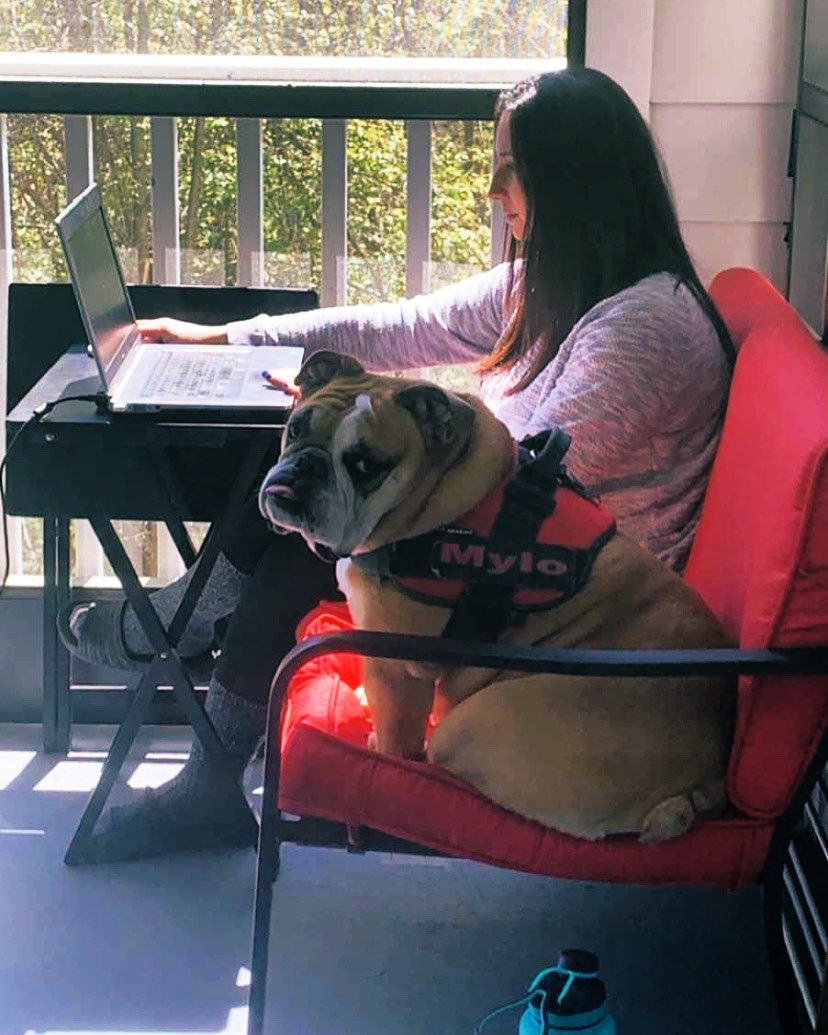 Mylo likes to participate in all the meetings. #BeDoHaveGive #DLDHasty