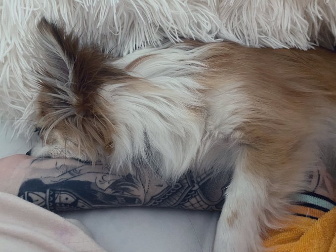 Watch elise laurenne's leaked NSFW photo on TwXstars