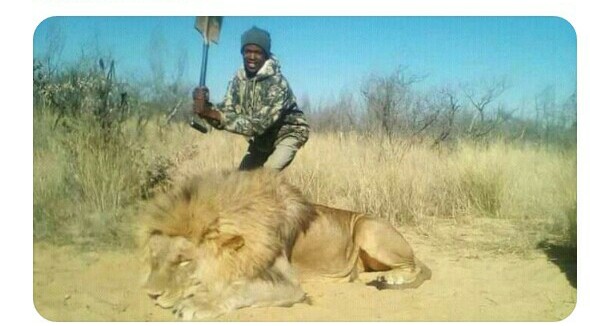 almasindangili's tweet image. Someone wants to force me believe what the man is about to do the Lion is true and I should not question a thing…hahaha
#TwitterDCI #tweetingfromhome #COVID19KE #MoneyHeist4