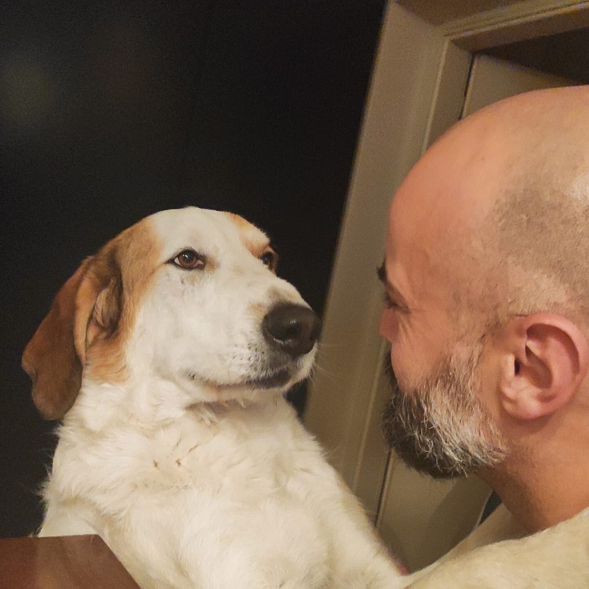 viscostie's tweet photo. Ma quanto ci amiamo ?? ❤️ ma come ho fatto a fare a meno di te per 32 anni?? 5 anni che mi hanno riempito il cuore 💖 #dog #mydog https://t.co/r23OnO2yup