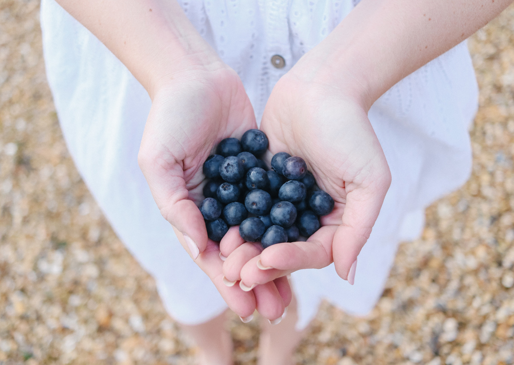 Historically an exotic delicacy, the blueberry has become a great British staple thanks so a Dorset farmer in 1952 with an adventurous palette.
 💜
Blueberry bushes will come into full leaf during April and will begin to show fruit. 

#HelloSpring