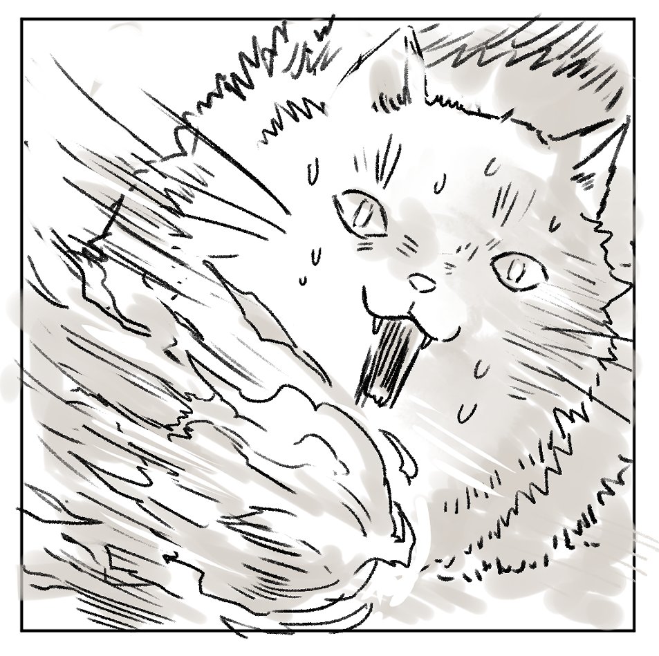 息子の毛玉

#ドラゴンの卵を拾った野良猫シリーズ