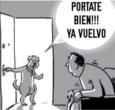Ozky88265574's tweet photo. #ExtranoDeMiVidaNormal
Salir con mi perro hoy el cabrón sale sólo
Jajajaja falta salga con su bolsa y recoja sus heces fecales. Jajajaja
@OyePonchoYezka
@OyeFans8971 https://t.co/dH3RoYkViD