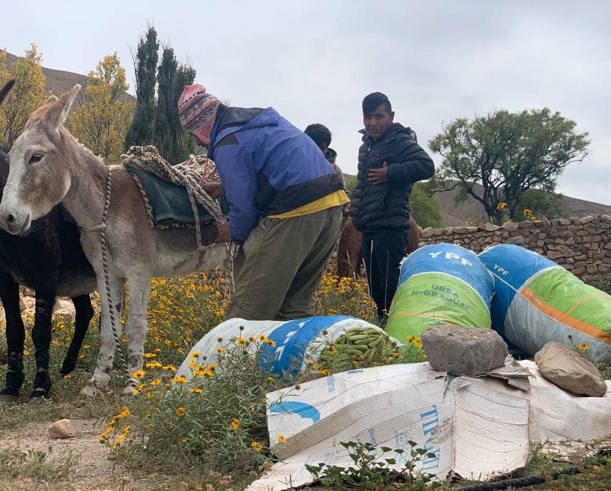 ColeAlfarcito's tweet photo. Juntos en tiempos difíciles. 

Los productores de la Quebrada del Toro siguen llevando alimento a la mesa de los argentinos. 

Sumamos nuestra camioneta junto a la Municipalidad de C.Quijano y Organizaciones Comunitarias, para que todos se cuiden. 

#QuedateEnCasa
#coronavirus https://t.co/YppLwJj2w6
