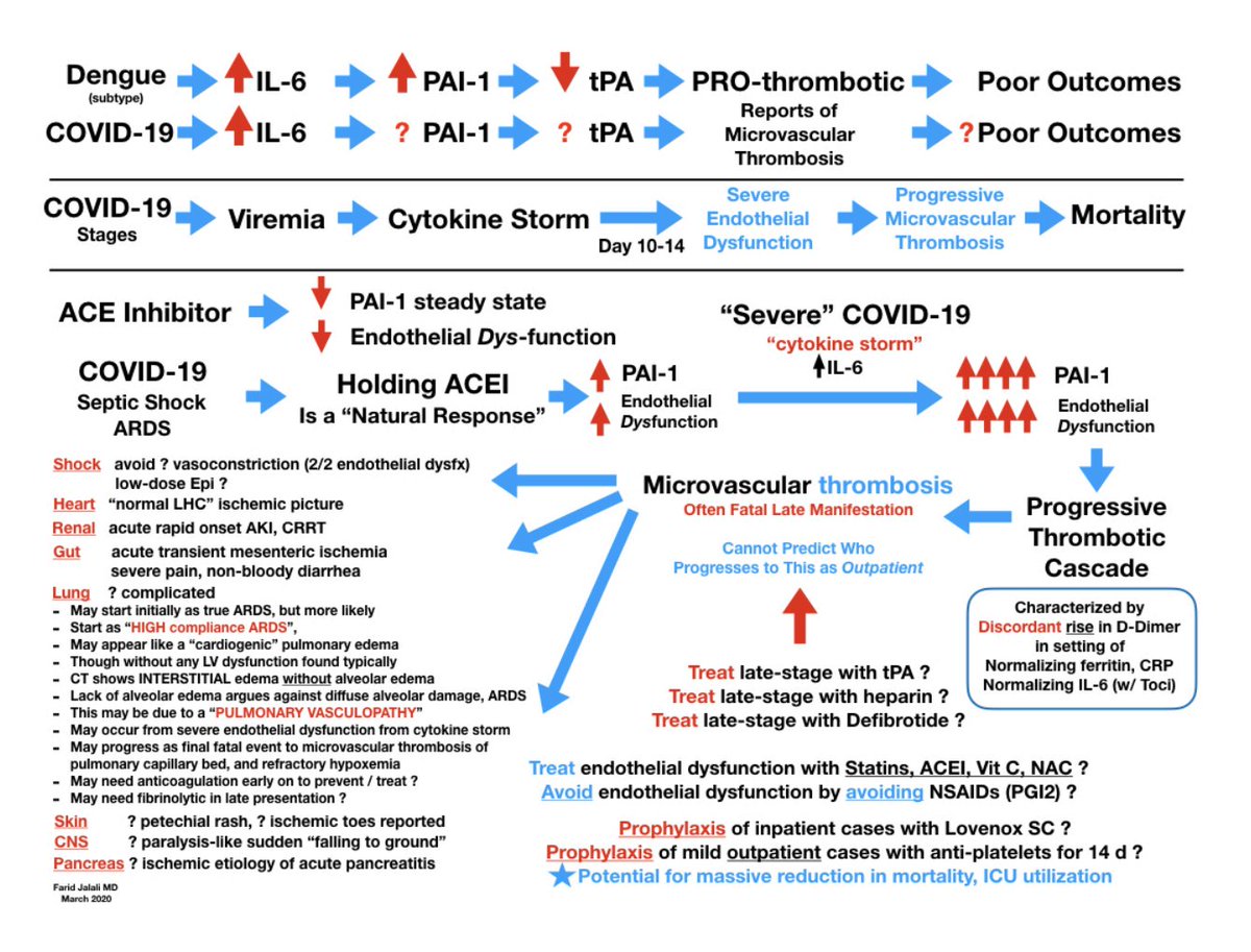 ... anyway, this is an experimental treatment with anti-coagulants and it is being argued that it is NOT ARDS that kills but micro-thrombosis due to endothelial damage as a result of cytotoxic activity.SO READ AND SHARE THE LINK BELOW [saving lives]: http://farid.jalali.one/covid19emailpdf.pdf