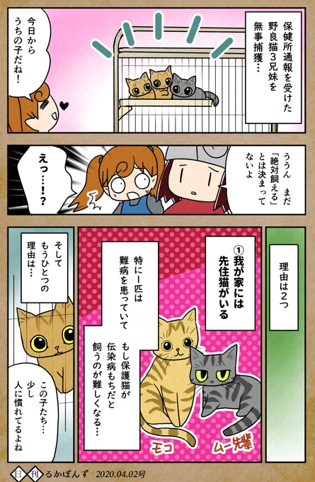 【毎日更新】
保護した猫3兄妹がすんなり飼えなかった話_1

#保護猫3兄妹 #猫 #猫漫画 #コミックエッセイ #猫マンガ 