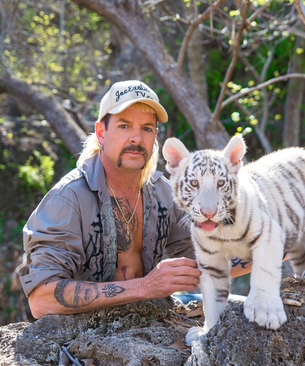 Pointdevues's tweet photo. #207 Letterboxd et Tiger King https://t.co/rTyYPHmKZa https://t.co/ZrmUi7nyki