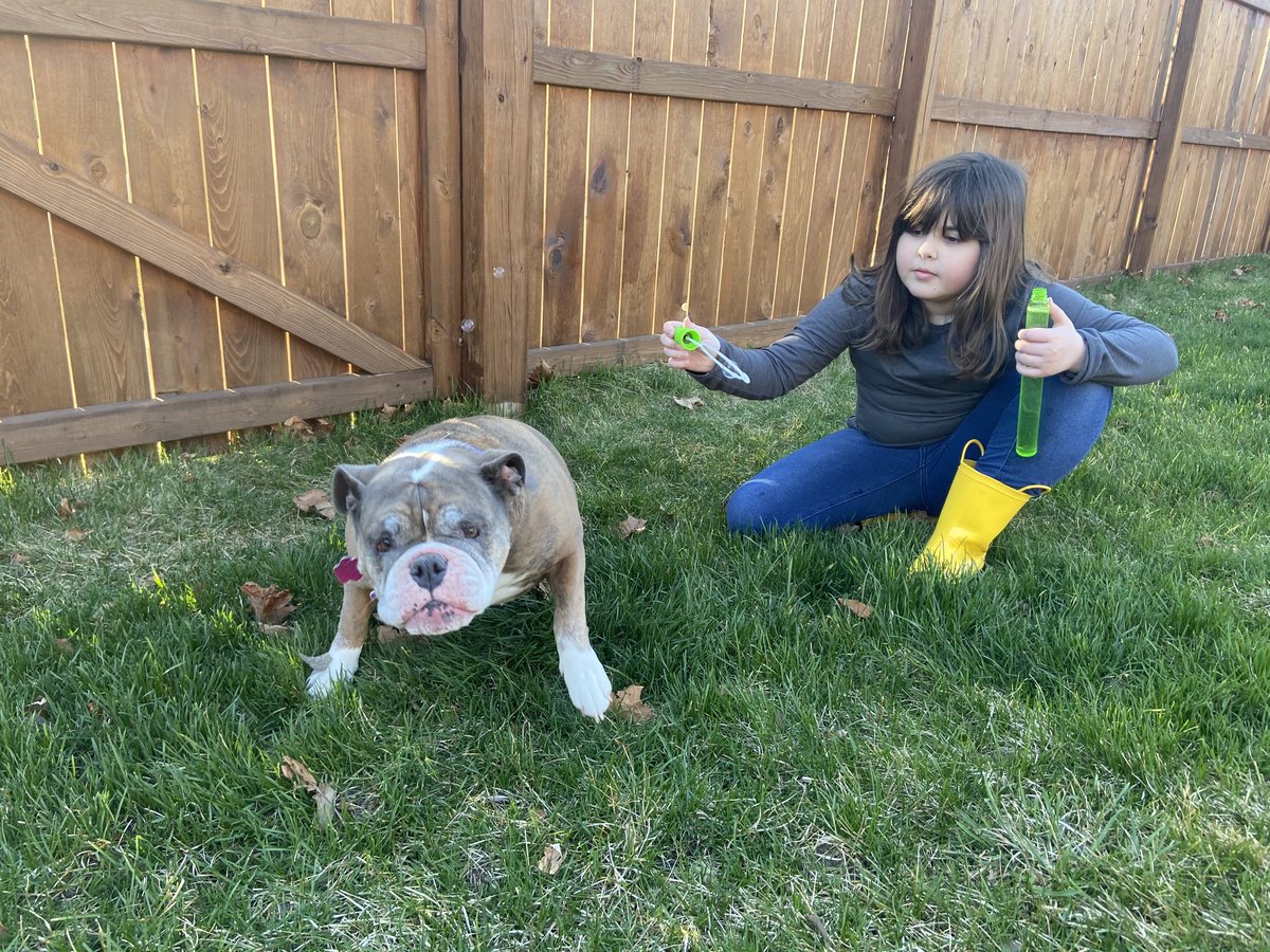 rtcarr1113's tweet photo. A beautiful day for bubbles. Maggie does all the work and Pickles tries to eat them. 😀⁦@CoolidgeCougars⁩ ⁦@MRichmond3rd⁩ ⁦@rkcarr1033⁩ https://t.co/2jN8AocV8X