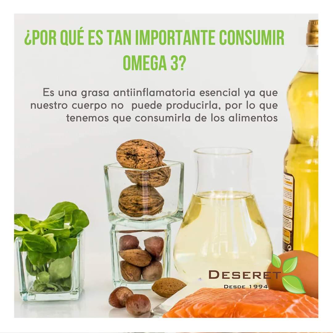 deseret_aliment's tweet photo. Porque es importante en OMEGA 3
Solicita más información de nuestros productos.
Whatsapp: 💬https://t.co/Fd7gnE8bXF
Más información: 734 114 7421
#Deseret #Saludable #Jojutla #Cuernavaca #Soya #Soja #Veganos #DeseretJojutla #TacosVeganos #ComidaVegana #Natural #AlimentosYBebidas https://t.co/Hq6PhUeK3T