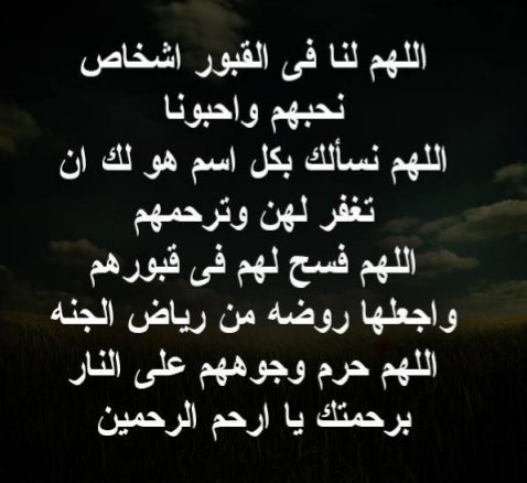 MerFayza tweet picture
