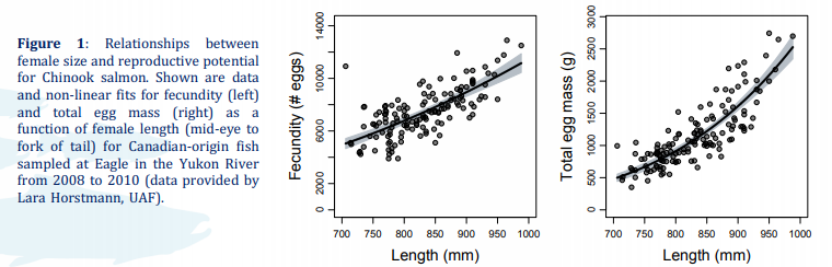 salmon_net's tweet photo. The reproductive potential of #Yukon and #Kuskokwim #Chinook #salmon has declined since the 1970s b/c of a loss of older and larger fish to commercial + subsistence fisheries
#fishsci @JanOhlberger @UW_SAFS @USFWSAlaska @DFO_Pacific @uafairbanks #ADFG
https://t.co/2lpVRFYC7Y https://t.co/AaE9PMgezA