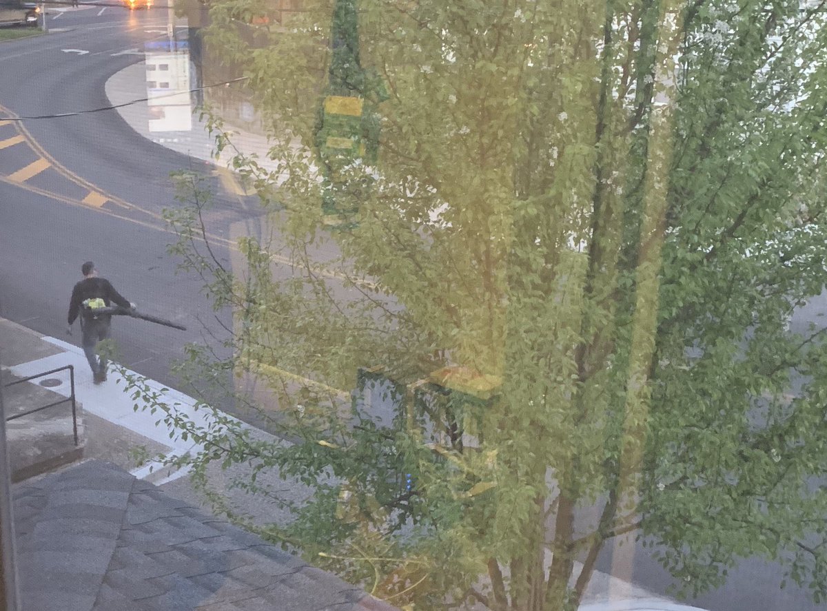 MichaelGrant_CJ's tweet photo. There are NO leaves on the ground. And it’s 8:15 p.m. #LeafblowerMan https://t.co/ph6BTgfTBW